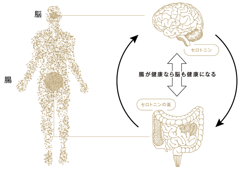 幸せは腸でつくられる